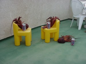 Monday mornings come way to early after a fun weekend