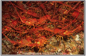 Nothing to see here. Move along.