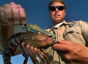 6a00d8341c630a53ef0120a8ac59d3970b-600wi